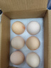 鮮雞蛋初生蛋月子雞蛋鮮雞蛋柴雞蛋現撿現發(fā)月子雞蛋40-50g±5g 10枚土雞蛋 曬單實(shí)拍圖