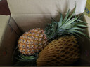 京鮮生 海南金鉆鳳梨 2個(gè)裝 單果2斤起 生鮮水果 曬單實(shí)拍圖