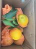 京鮮生 當季鮮橙 凈重10斤 鉑金果 單果180g起 生鮮水果橙子禮盒 曬單實(shí)拍圖