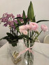 花翁水培植物室內陽(yáng)臺盆栽花卉 混色郁金香4顆+樹(shù)脂方盆+內籃源頭直發(fā) 曬單實(shí)拍圖