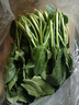 精品山東菠菜時(shí)令蔬菜農家自種現摘現發(fā)新鮮蔬菜生鮮蔬菜火鍋食材 帶箱2斤（凈重1.6斤） 曬單實(shí)拍圖