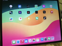 AppleiPad Air6/Air5代 M2芯片【京配速發(fā)】蘋(píng)果iPad 24年新款學(xué)生平板電腦iPad 蘋(píng)果Air6代 星光色 11英寸 256GWiFi版【配件套裝+店保2年】 曬單實(shí)拍圖