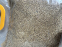 喜帥帶殼黃谷子2kg（新糧）鸚鵡糧食帶殼小米飼料鳥(niǎo)食虎皮玄鳳牡丹糧 曬單實(shí)拍圖