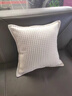 TLXT2026新款四季通用北歐客廳靠枕奶油風(fēng)沙發(fā)靠枕高級感腰靠枕套方形 貪吃蛇45*45cm 枕套 +優(yōu)質(zhì)枕芯 曬單實(shí)拍圖