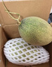 熱帶水果哈密瓜甜瓜產(chǎn)脆甜多汁香甜可口產(chǎn)地直發(fā)沙漠爆甜瓜 8-10斤聚會(huì )裝（2-3個(gè)裝） 源正達爆甜蜜瓜 曬單實(shí)拍圖
