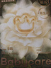 babycare金山茶花紙尿褲S58片(4-8kg)新生兒嬰兒尿不濕超薄透氣輕柔花苞褲 曬單實(shí)拍圖
