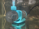 創(chuàng  )寧變頻潛水泵 CN-9500-13W 10檔流量調節 魚(yú)缸假山噴泉池循環(huán)抽水 曬單實(shí)拍圖