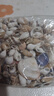 天然海螺貝殼  精選浮翠流砂貝寶螺手工diy材料魚(yú)缸底砂造景裝飾 小螺組合100克 約400顆 曬單實(shí)拍圖