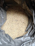 飼料原料谷物帶殼水稻飼料雞飼料稻殼鴿糧鴿子糧豆粕羊飼料稻谷子 飼料帶殼稻谷10斤 曬單實(shí)拍圖