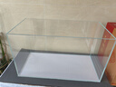 金晶超白魚(yú)缸桌面客廳生態(tài)金魚(yú)缸造景小魚(yú)缸草缸水族箱30*17*20cm 60*30*35cm 厚6mm 曬單實(shí)拍圖