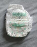 爽然（shinrea）天鵝拉拉褲XL68片親膚柔軟透氣男女通用箱裝尿不濕【透氣不悶】 曬單實(shí)拍圖