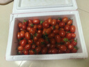 廣西紅色圣女果小番茄新鮮水果沙拉新鮮 超實(shí)惠帶箱5斤凈重4.7斤 曬單實(shí)拍圖