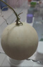 京鮮生海南頭茬玉菇甜瓜 凈重8-9斤 3-4粒裝 水果源頭直發(fā)包郵 曬單實(shí)拍圖