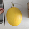 京鮮生黃金蜜瓜1粒裝 凈重4斤起 水果源頭直發(fā)包郵 曬單實(shí)拍圖
