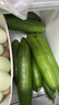 京鮮生 山東荷蘭水果黃瓜 凈4.5斤 單果70g+ 健康輕食早餐蔬菜 源頭直發(fā) 曬單實(shí)拍圖