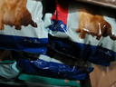 藻趣兒 狗糧 通用全價(jià)犬糧小中大型犬泰迪柯基金毛拉布拉多 【新升級肉松雙拼】成犬糧40斤 曬單實(shí)拍圖