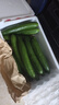 京鮮生 山東荷蘭水果黃瓜 凈4.5斤 單果70g+ 健康輕食早餐蔬菜 源頭直發(fā) 曬單實(shí)拍圖