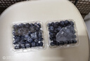 京鮮生 云南藍莓當季 2盒大果18mm+裝 125g/盒 生鮮水果源頭直發(fā) 曬單實(shí)拍圖