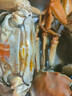 【活蟹】湖鮮陽(yáng)澄大閘蟹公3.5-3.8兩 母2.5-2.8兩4對8只春節送禮螃蟹禮盒裝源頭直發(fā) 曬單實(shí)拍圖