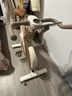 飛利浦家用動(dòng)感單車(chē)智能自發(fā)電健身器材減肥運動(dòng)室內自行車(chē)小金鹿3102B 曬單實(shí)拍圖