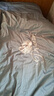水星家紡四件套床上60支長(cháng)絨棉純棉100%全棉絲滑被套床單雙人輕奢高級1.5m床天鵝家居館 曬單實(shí)拍圖