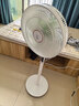 鉆石牌落地扇家用電風(fēng)扇【1級能效+直流變頻+純銅電機】搖頭扇強勁風(fēng)力省電電扇AI語(yǔ)音遙控DFS-ZBHR07 曬單實(shí)拍圖