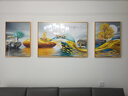 Sixpoetry 客廳裝飾畫(huà)現代簡(jiǎn)約沙發(fā)背景墻壁畫(huà)輕奢三聯(lián)晶瓷畫(huà)大氣高檔掛畫(huà) 福祿雙收（鋁合金外框） 晶瓷畫(huà)左右50*70+中間100*70亮面 曬單實(shí)拍圖