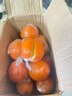 集南鮮 源頭臍橙 當季橙子新鮮水果臍橙時(shí)令生鮮水果甜橙 水果禮盒 10斤特級橙  單果150g+ 凈重9斤 推薦 曬單實(shí)拍圖