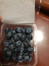 京鮮生 云南高山藍莓 特大果22mm+ 6盒裝 凈重125g/盒 生鮮水果 曬單實(shí)拍圖