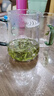 唯銘諾（WEIMINGNUO）水杯玻璃杯茶漏一體玻璃茶杯大容量帶濾網(wǎng)泡茶杯玻璃月牙杯 曬單實(shí)拍圖