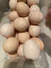 趣嘗鮮可生食標準鮮雞蛋30枚 凈重2.7斤 谷物喂養早餐食材 源頭直發(fā) 曬單實(shí)拍圖