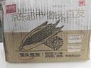京鮮生東北黃玉米棒200g×8棒25年新玉米 真空黏玉米 多種包裝 源頭直發(fā) 曬單實(shí)拍圖