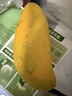 京鮮生海南金煌芒果 凈重4.5斤 單果150g+ 新鮮水果 源頭直發(fā) 曬單實(shí)拍圖