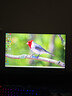 HKC 27英寸4K 160Hz雙模320Hz FastIPS顯示器HDR400認證硬件低藍光旋轉升降HDMI2.1電競游戲G27H7Pro 曬單實(shí)拍圖