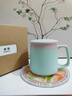 叁旬印象泡茶馬克杯創(chuàng  )意漸變陶瓷帶蓋茶水分離辦公室情侶杯子過(guò)濾水杯 印象馬克杯(漸變款)_水碧綠 曬單實(shí)拍圖