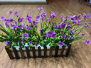 伊芙美 仿真花假花塑料花桌面墻角遮擋花槽擺設仿真綠植盆栽擺件郁金香柵欄花套裝 40CM碳柵欄+尤加利+紅蓮郁金香 曬單實(shí)拍圖