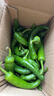 湖南樟樹(shù)現摘新鮮薄皮小青椒超市品質(zhì)生鮮蔬菜辣椒 凈重1斤1人一餐炫完 曬單實(shí)拍圖