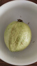 【放軟吃】福建番石榴奶油芭樂(lè )軟香雞屎果白心芭樂(lè )應季新鮮水果 白心芭樂(lè )2粒 曬單實(shí)拍圖