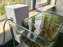 瘋狂水草（FKSC）小型魚(yú)缸過(guò)濾器循環(huán)泵三合一增氧泵吸糞F2小方盒 魚(yú)缸水泵過(guò)濾盒 曬單實(shí)拍圖