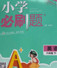 2026小學(xué)必刷題 數學(xué)六年級下冊 人教版 教材全解同步天天練 學(xué)霸課后練習一本全 理想樹(shù) 曬單實(shí)拍圖