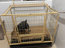 貝初眾狗籠中型犬籠子狗狗籠子小型犬狗籠子帶廁所一體加粗方管寵物籠子 黃/95*65*85cm 適合60斤內寵物 【加粗加密方管款】穩固/耐啃咬 帶廁所托盤(pán)/天窗/喂食小窗 曬單實(shí)拍圖