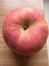 京鮮生 煙臺紅富士蘋(píng)果 凈重10斤 單果220g以上 禮盒裝 生鮮水果 曬單實(shí)拍圖