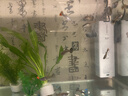 森森 小鯉魚(yú)缸過(guò)濾器凈水循環(huán)三合一內置水族箱過(guò)濾系統XQP-500F 6W 曬單實(shí)拍圖