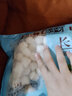 福字號【大連產(chǎn)地】速凍扇貝柱大號 80-120粒1kg/袋 燒烤季聚餐 曬單實(shí)拍圖