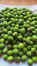 果優(yōu)港青梅鮮果福建詔安2026新鮮泡酒專(zhuān)用水果酵素當季高山梅子酸脆 青梅5斤順豐配送 曬單實(shí)拍圖