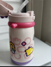 babycare兒童水杯6個(gè)月以上寶寶霸王龍不銹鋼保溫杯上學(xué)450ml-新舊款混發(fā) 曬單實(shí)拍圖