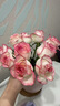 愛(ài)莎玫瑰10枝 曬單實(shí)拍圖