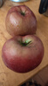 2025正宗云南昭通冰糖心丑蘋(píng)果新鮮水果蘋(píng)果當季脆甜水果產(chǎn)地直發(fā) 5斤裝凈重4.5斤大果（80-90mm） 曬單實(shí)拍圖