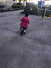 喜爾唯兒童平衡車(chē)可調節1到12歲寶寶滑步車(chē)小孩自行車(chē)輕便無(wú)腳踏自行車(chē) 12寸 英倫綠【2-6歲適用】 +禮包 曬單實(shí)拍圖