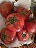 京鮮生 山東普羅旺斯番茄 凈重4.5斤 單果125g+ 沙瓤西紅柿 源頭直發(fā) 曬單實(shí)拍圖